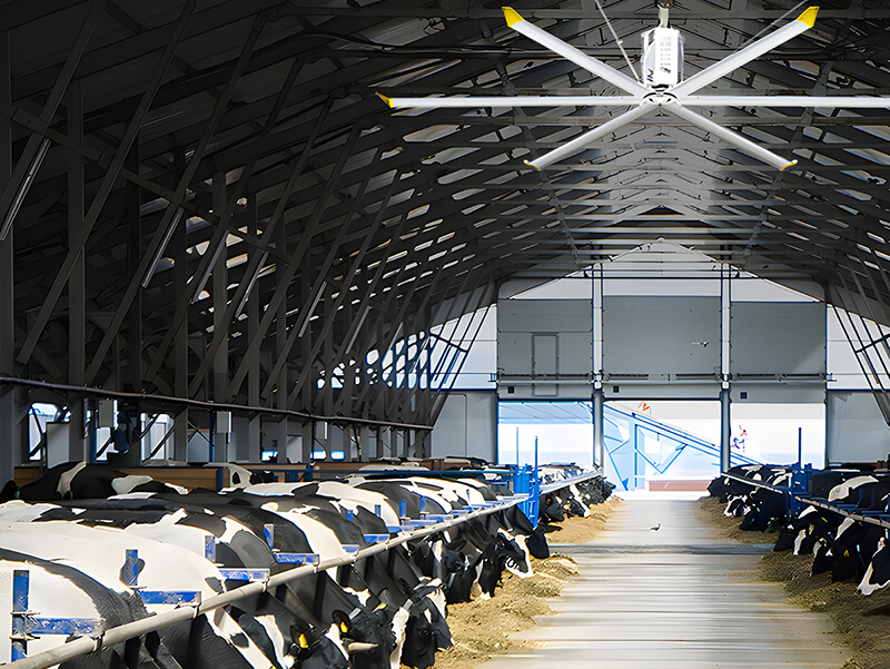 HVLS Fans used in an Animal Feed Warehouse in Qatar